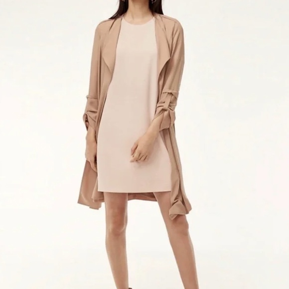 Aritzia Baboon Shift Dress in Blush Pink - Picture 2 of 6